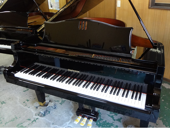 DIAPASON DR-5BG